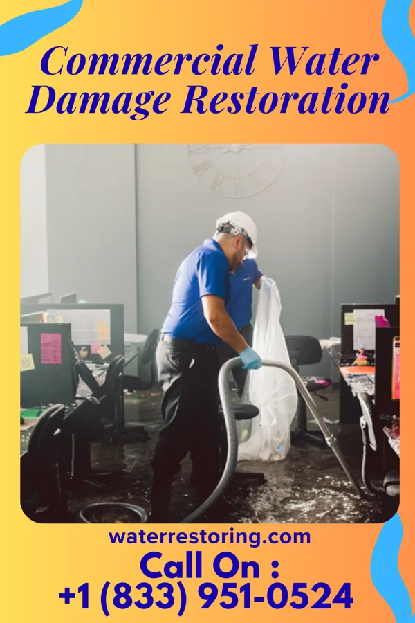 Commercial Water Damage Restoration in Stewart, MN