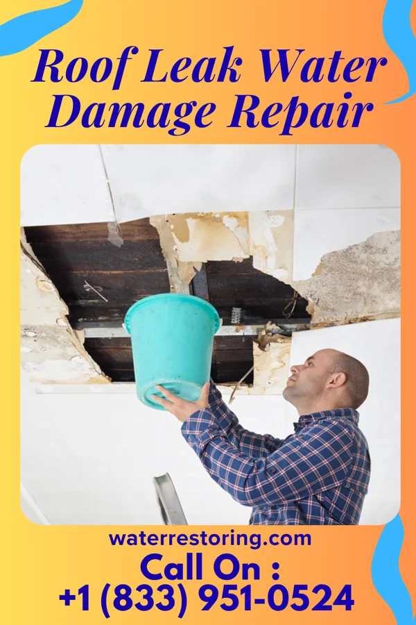 Roof Leak Water Damage Repair in Stewart, MN